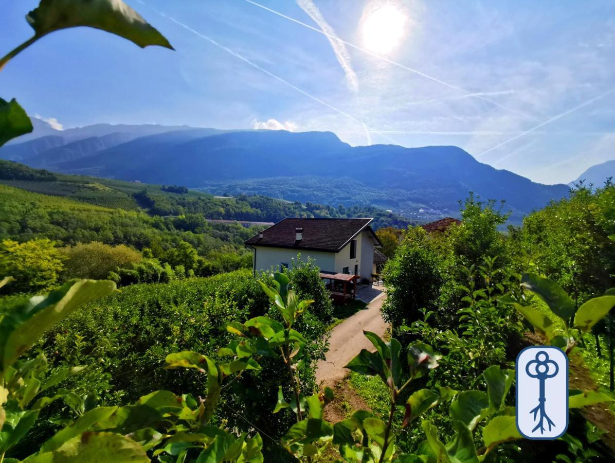 Casa Vacanze Antico Eremo, Tra Natura E Tradizione Campodenno Dış mekan fotoğraf